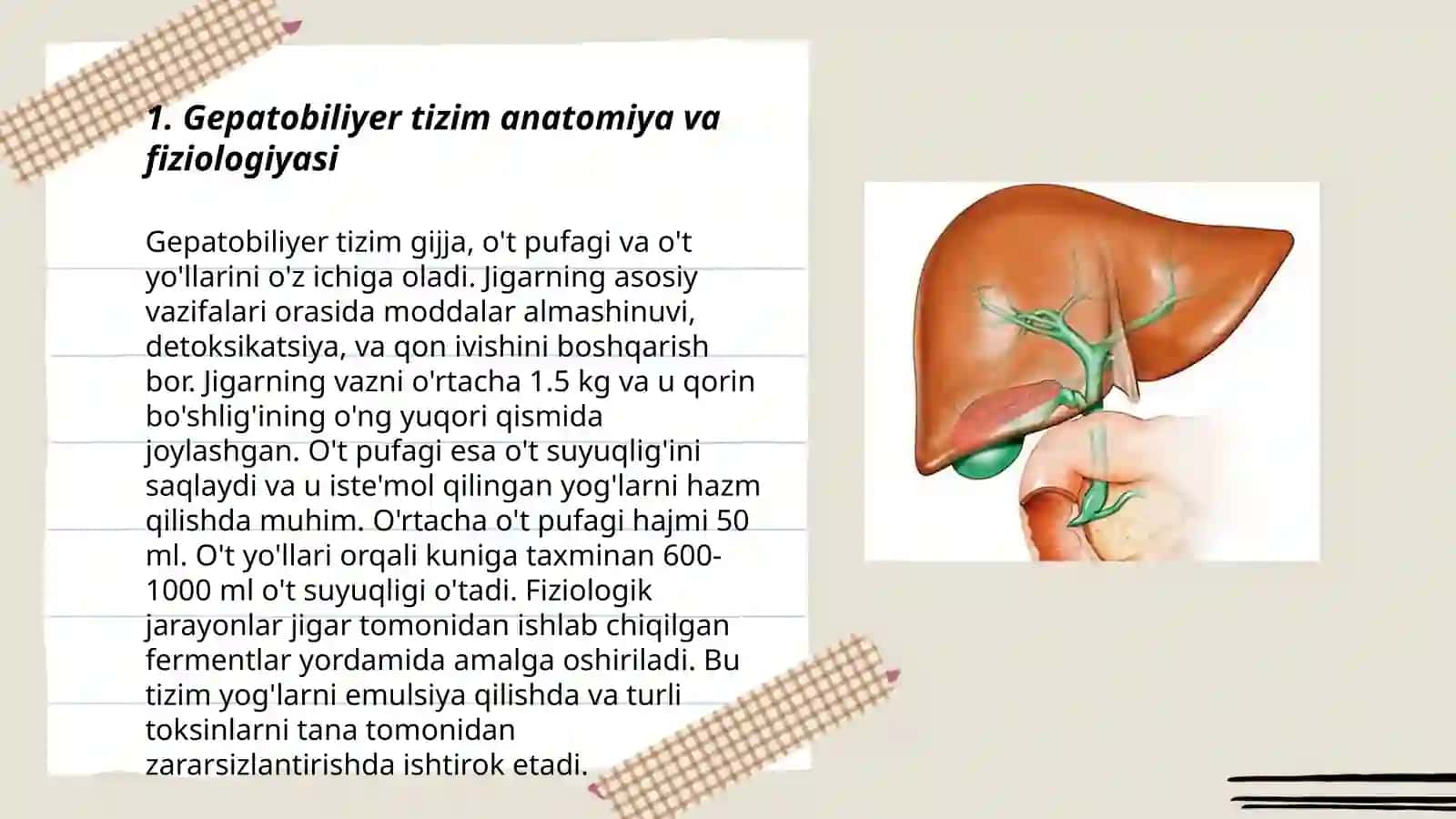 Gepatobiliar tizim patofiziologiyasi 3