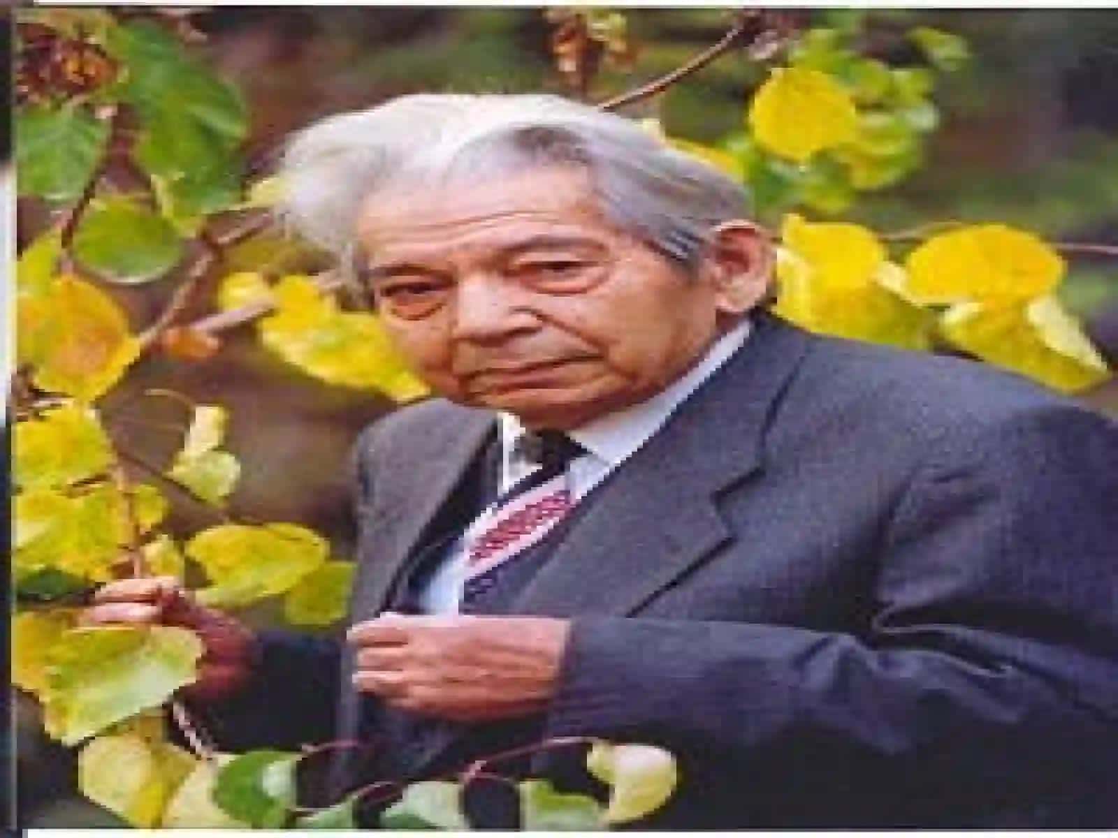 Said Ahmad hayoti va ijodi, “Qorako`z majnun” hikoyasi 3