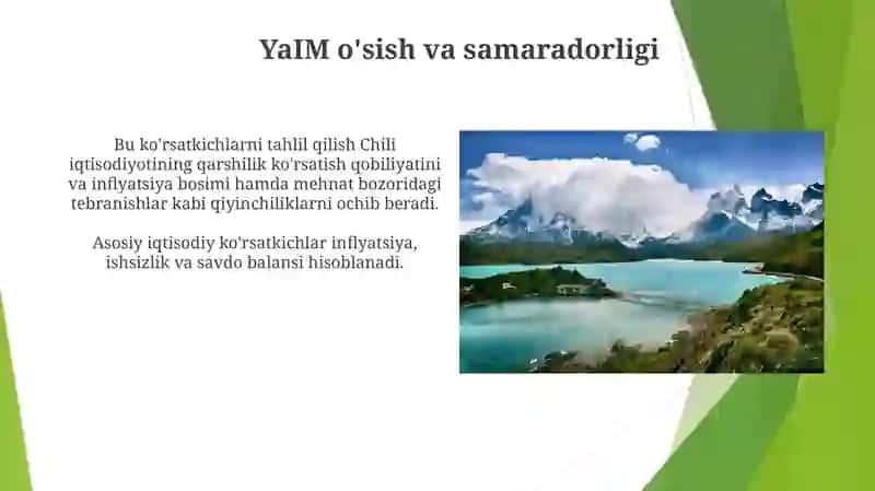 Chili makroiqtisodiy koʻrsatkichlari va ularning tahlili 3
