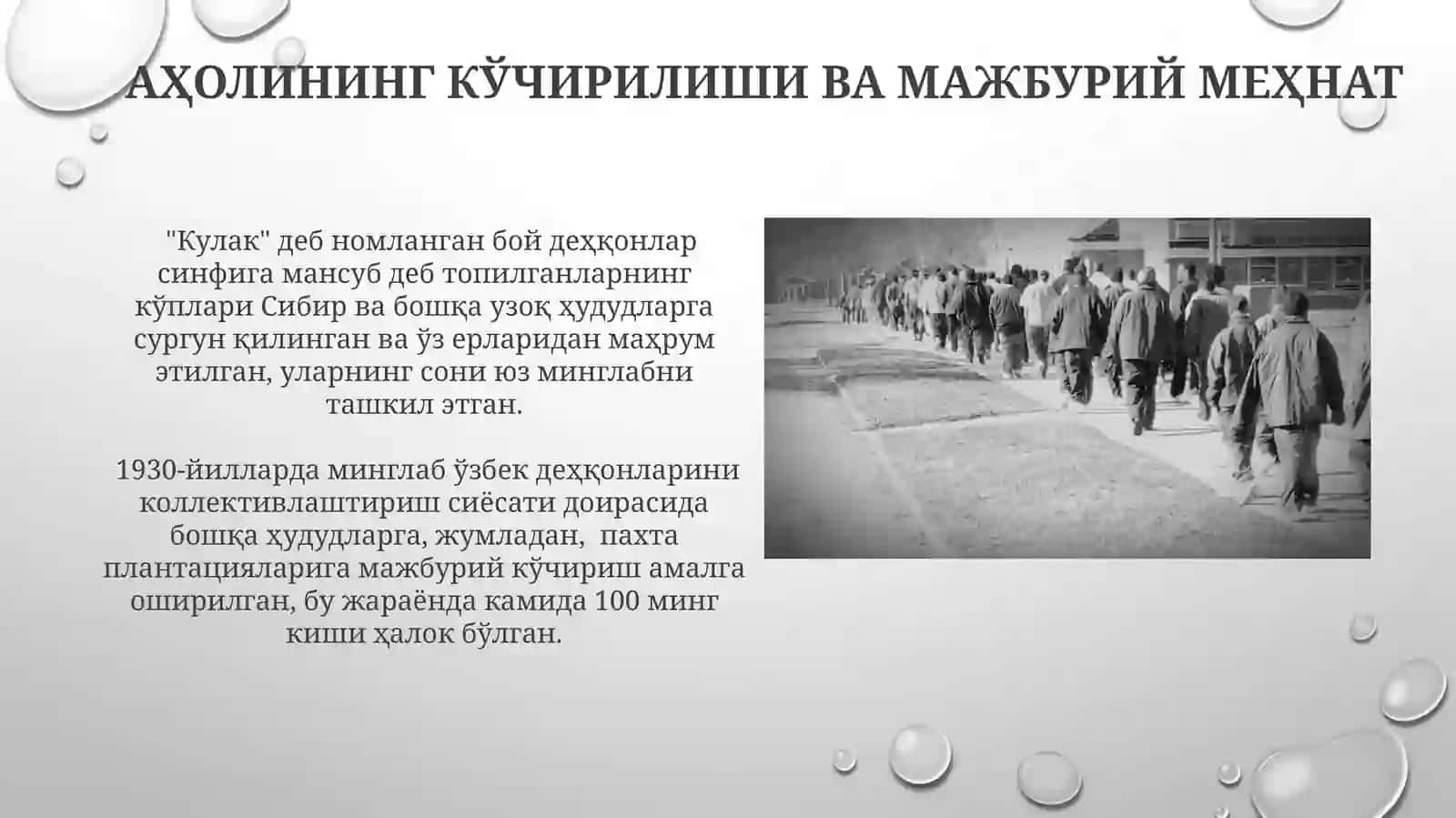 Oʻzbekiston 1925-1941- yillarda. Majburiy jamoalashtirish fojialari 3