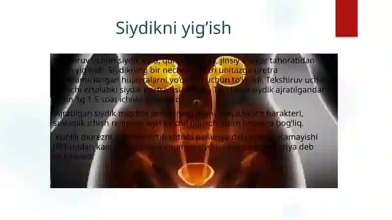 Buyrak peshob ajratish tizimi kasalliklarda so'rab surishtirish. Ko'zdan kechirish fizikal va laborator-instrumental tekshiruv usullari 3