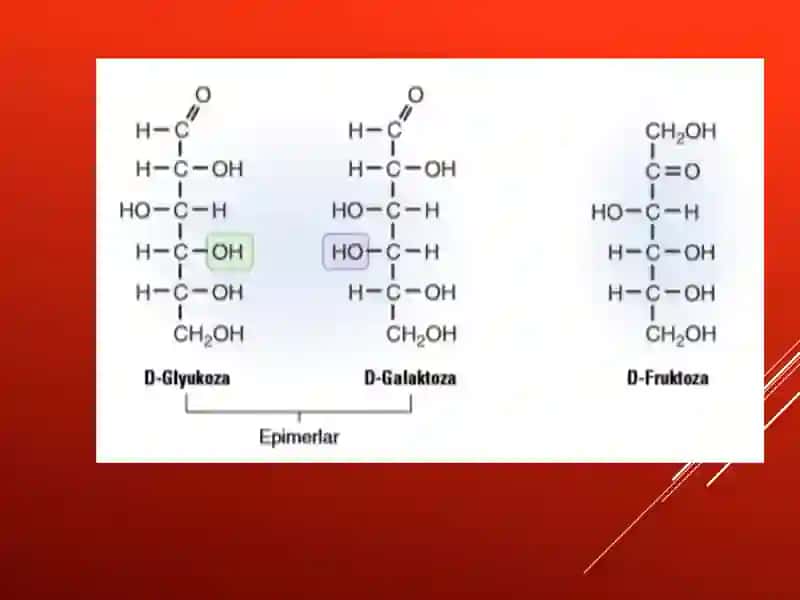 Uglevodlar almashinuvi. Uglevodlarning oshqozon- ichak traktidagi hazm jarayoni, uglevodlarning zaxiralanishi, uglevodlardan energiya hosil bo’lishi. 3