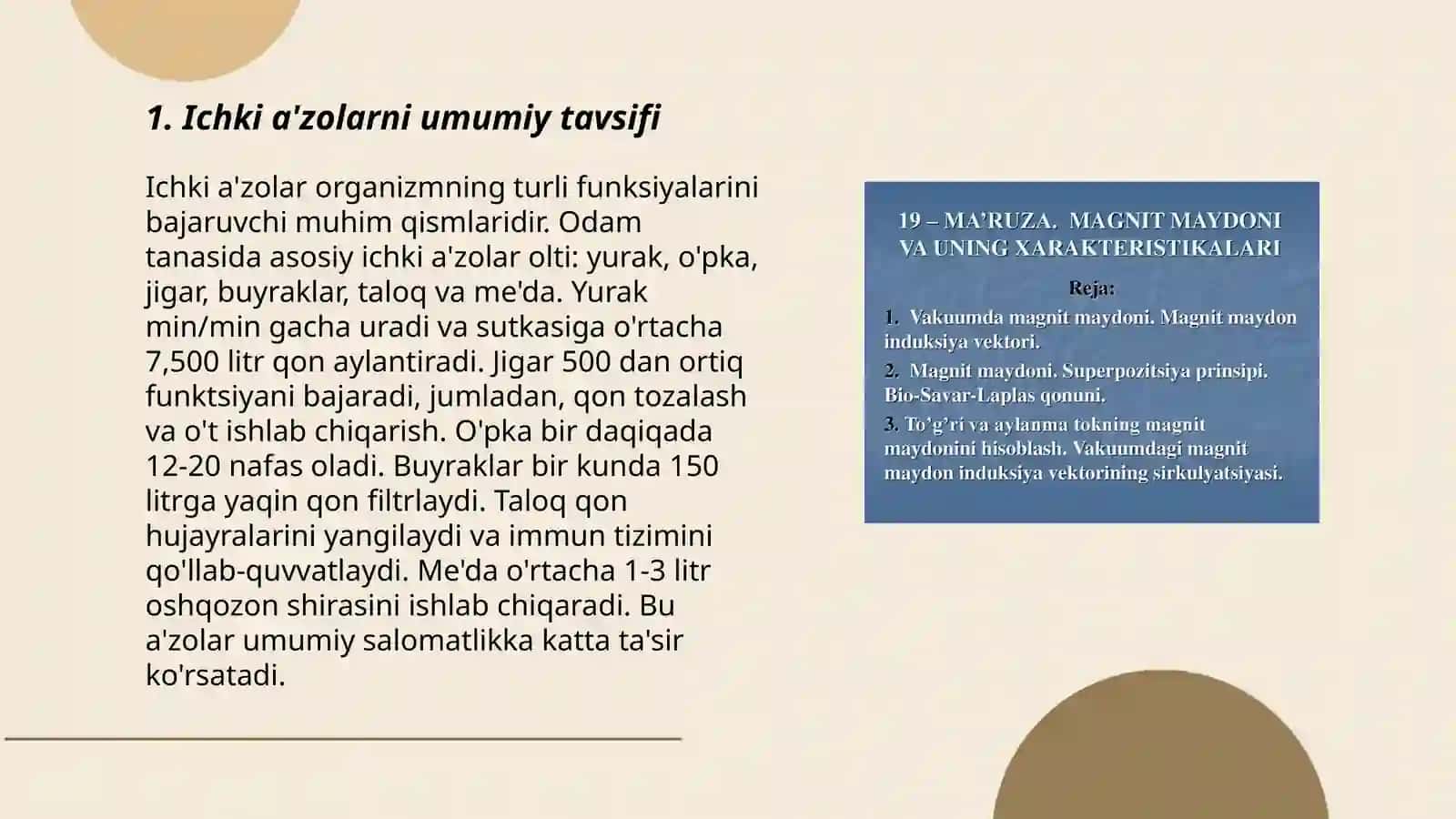Ichki a'zolar haqida tushuncha, Parenximatoz va naysimon a'zolarning tuzilishi prinsipi 3