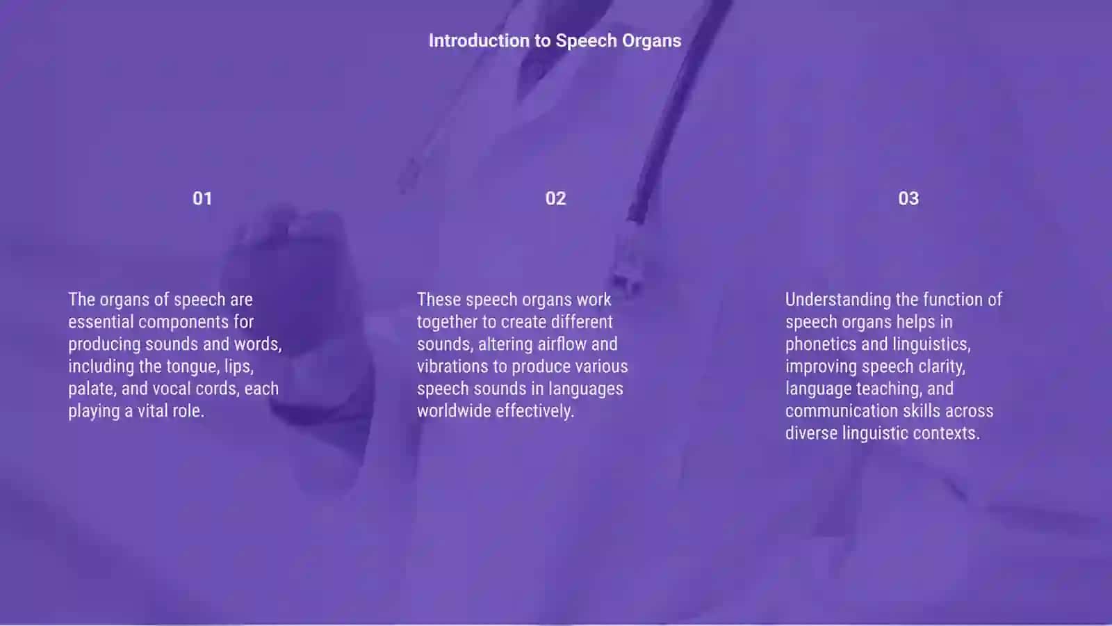 The organs of speech 3