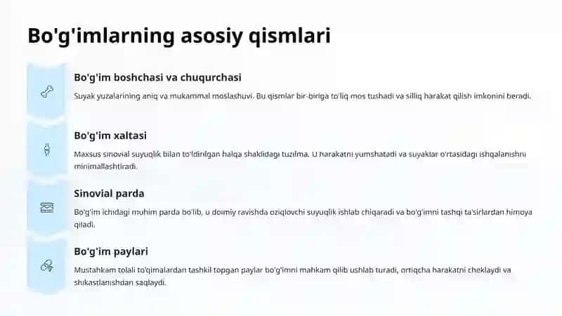 Bo'g'imlarning Umumiy Tuzilishi 3