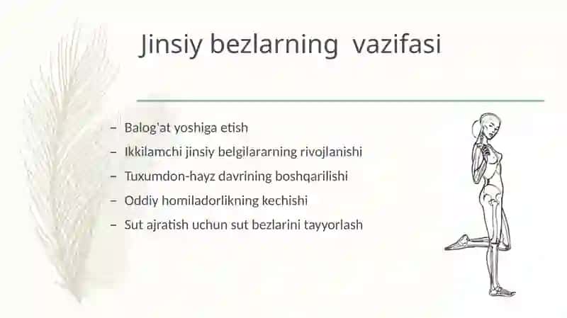Ayol jinsiy gormonlari 3