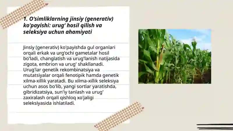 Oʻsimliklarning ko'payish xillari va undan selleksiyada foydalanish 3