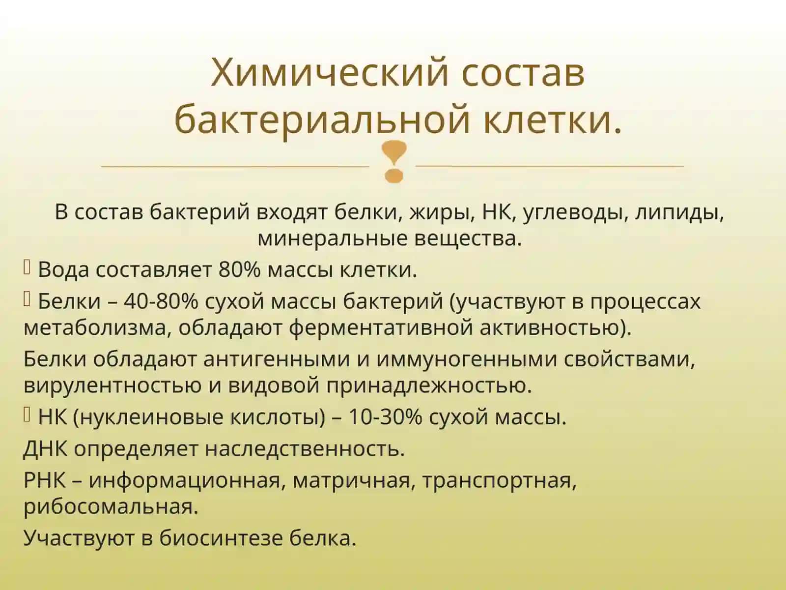 Культивирование бактерий. Изучение культуральных свойств 3