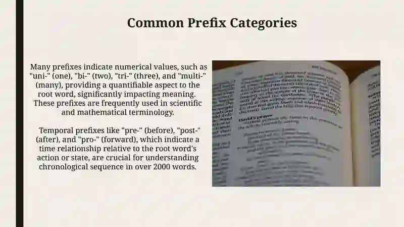 The meaning of prefixes 3