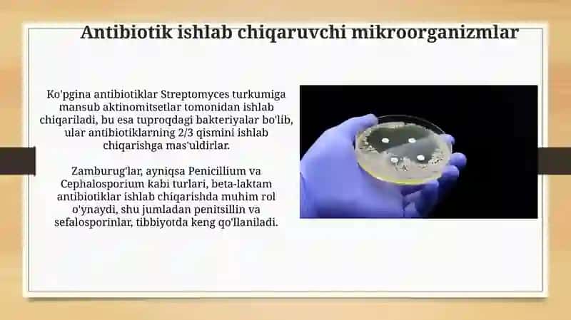 Antibiotiklarni hosil qiluvchi mikroorganizmlar va ularning biologiyasi 3