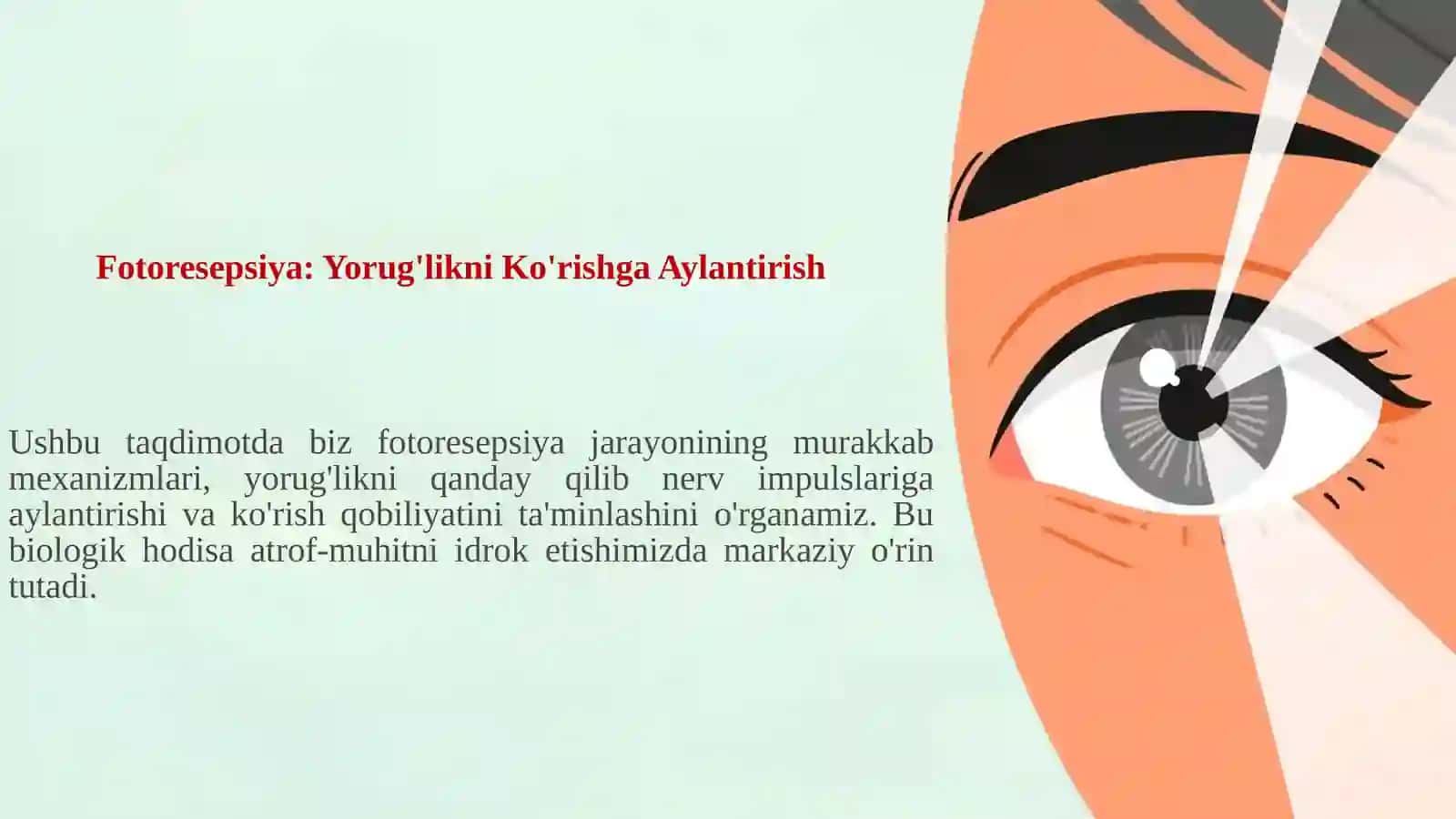 Fotoreseptsiyaning sitologik va molekulyar mexanizmlari 3