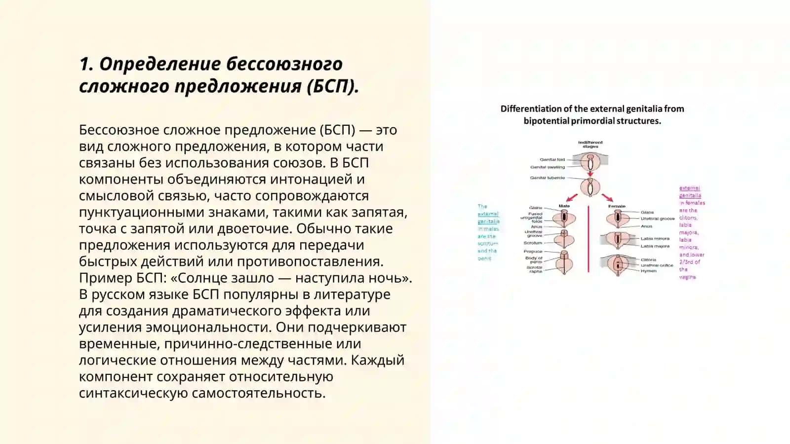 Бессоюзное сложное предложение (БСП) и его типология 3