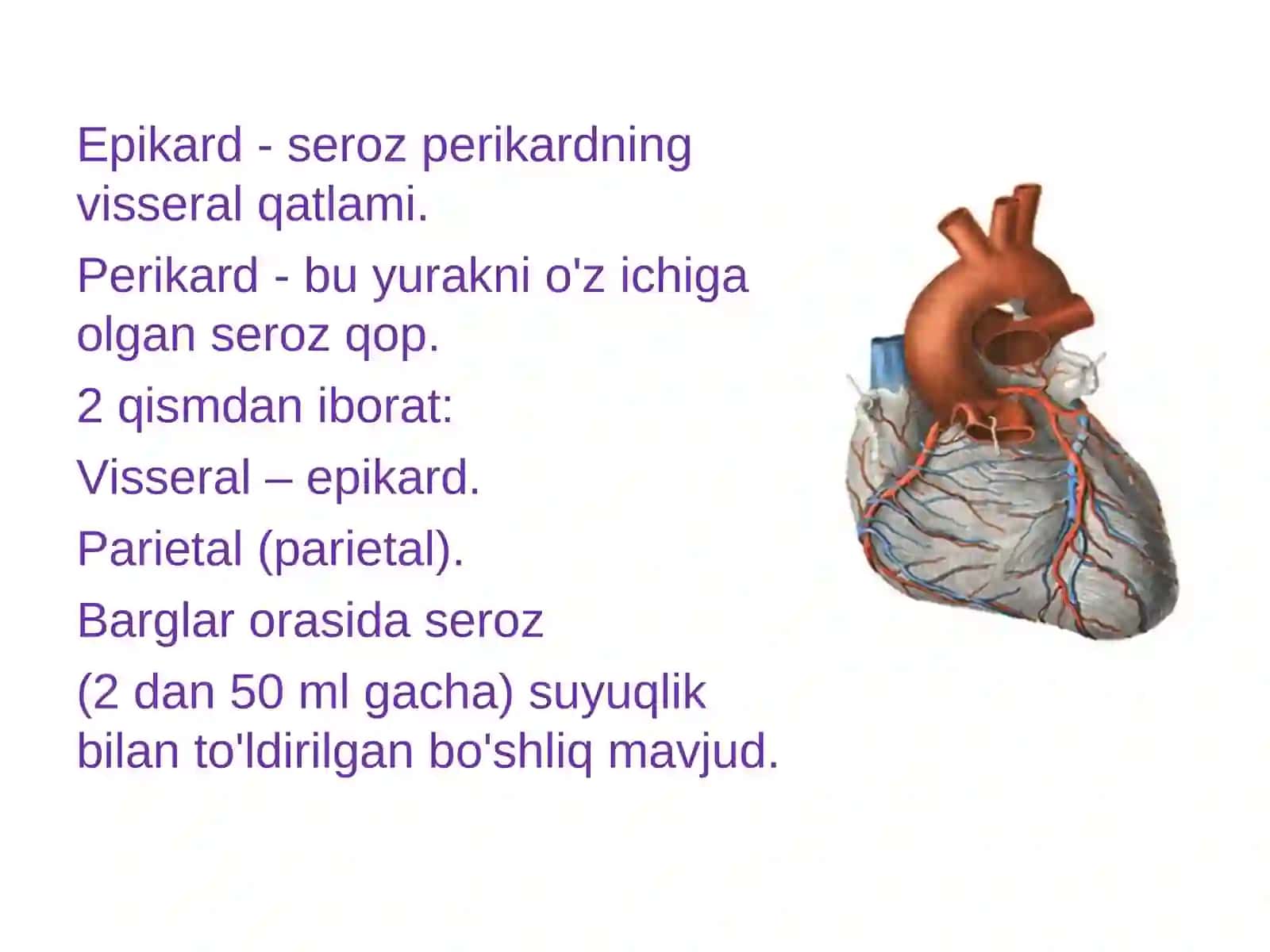 YURAK O'SMALARI. YURAK TRASPLANTOLOGIYASI 3