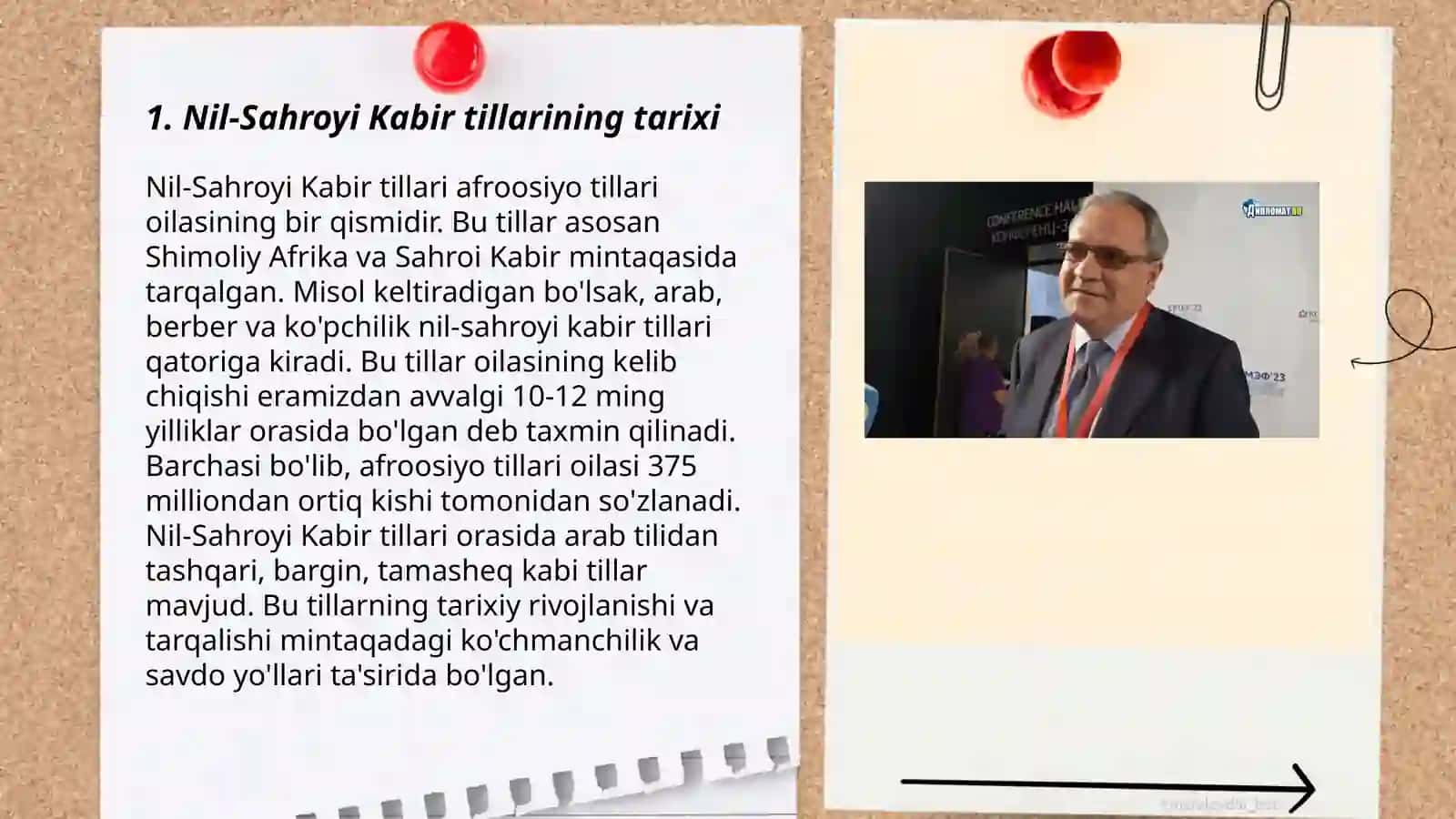 Nil-Sahroyi Kabir va Koysan tillari oilasi 3