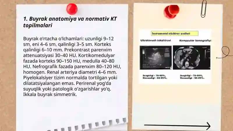 Buyrak kasalliklarini kompyuterli tomografiya tekshirish usullari 3