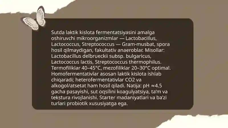 Mikroorganizmlar yordamida sut kislotali spirtli bijg'ish jarayonlari 3