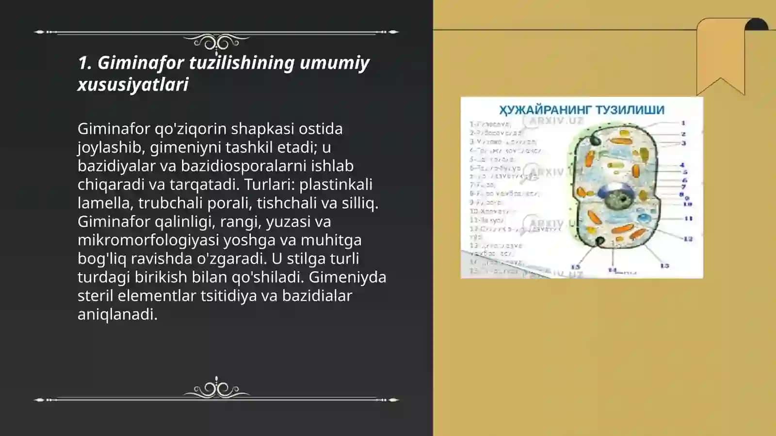 Giminafor tuzilishi va bazidiosporalarni kuzatish 3