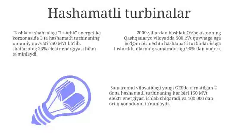 Hashamatli turbinalar 3