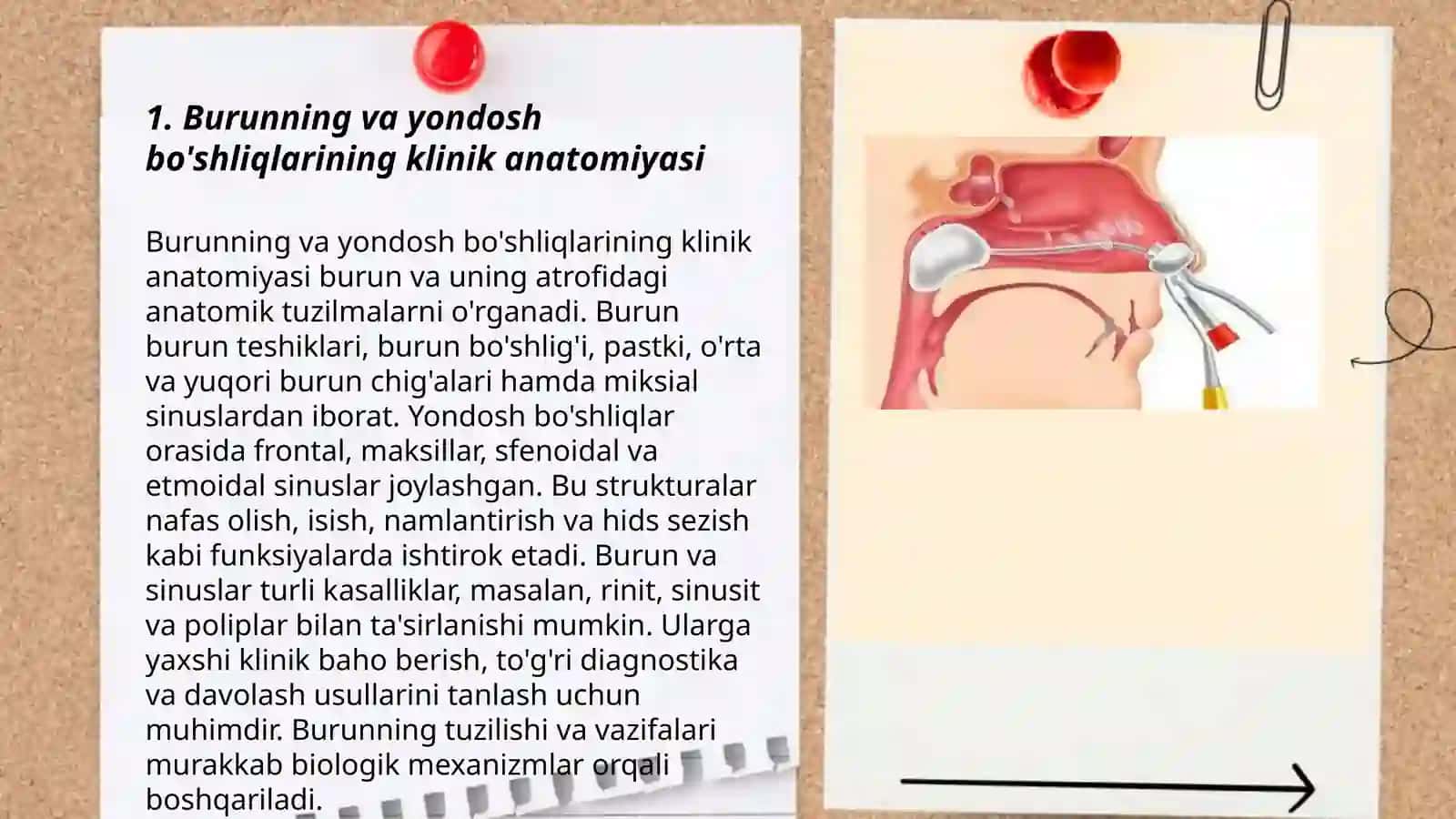 Burun va yondosh bo'shliqlarining o'tkir va surunkali kasalliklari.Burunning yondosh bo'shliqlarining klinik anatomiyasi, fiziologiyasi, zamonaviy tekshirish usullari. Burun yondosh bo'shliqlarining jaroxatlari, yot jismlarning klinik belgilari, tahminiy tashxisini shakllantirish, belgilarini re'jasini tuzish. Rinogen va odontogen gaymoritlar klinik belgilari, dif diagnostikasi, tekshirish re'jasini tuzish. 3