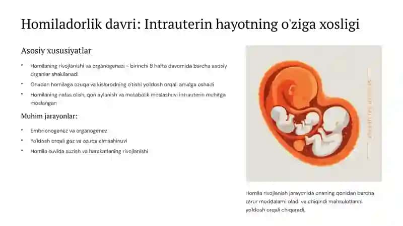 Homilaning, yangi tug'ilgan chaqaloqlarning, ko'krak yoshidagi bolalarning va keksalarning o'ziga xos anatomo-fiziologik xususiyati 3