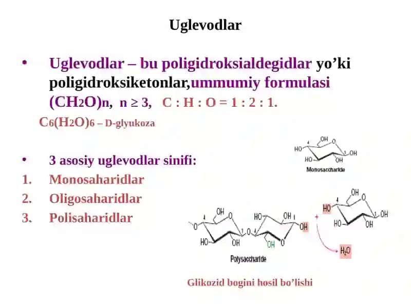 Karbonsuvlar almashinuvi va hazmlanishi 3