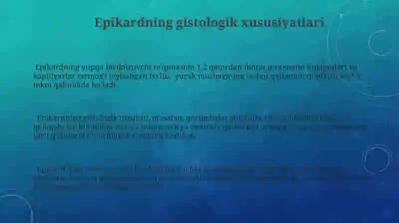 Yurak-tomir tizimining gistologik tuzilishi 3
