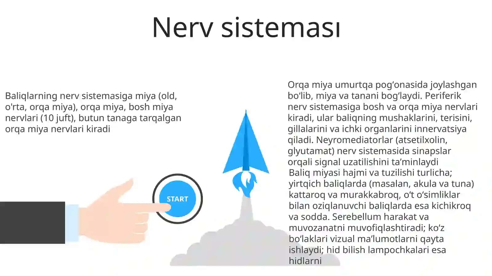 Suyakli baliqlarning tuzilishi va hayot kechirishi 3