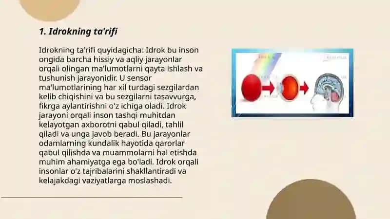 Idrok haqida tushuncha 3