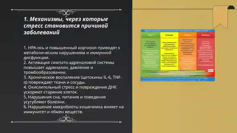 Стресс - причина всех болезней 3