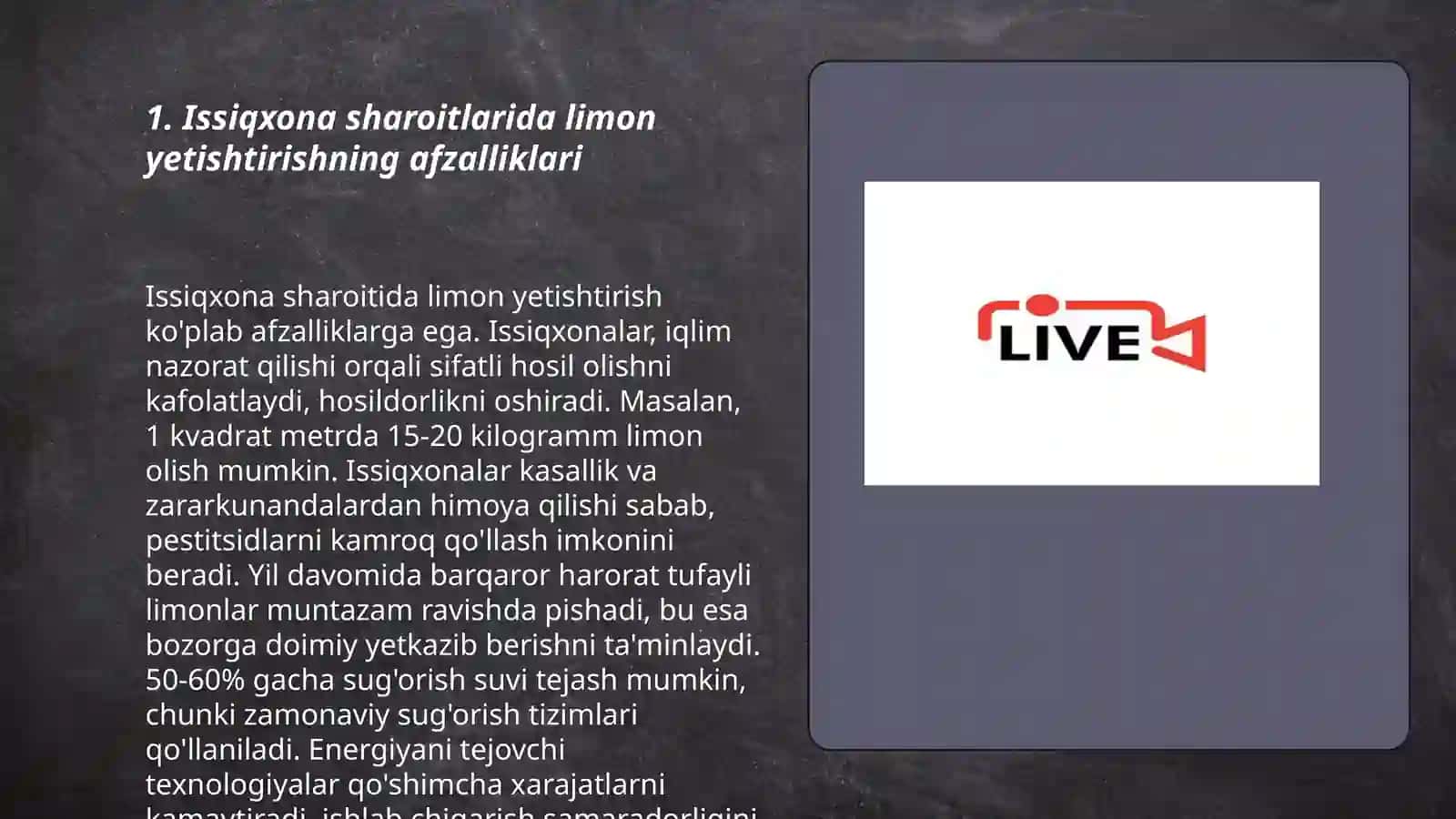 Issiqxonalarda limon o'simligini yetishtirish 3