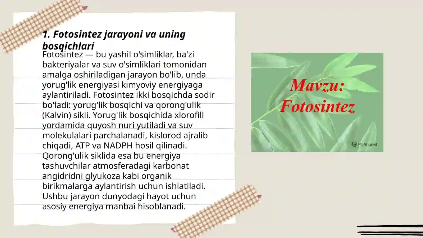 Fotosintez va Fotokatalik jarayonlar 3