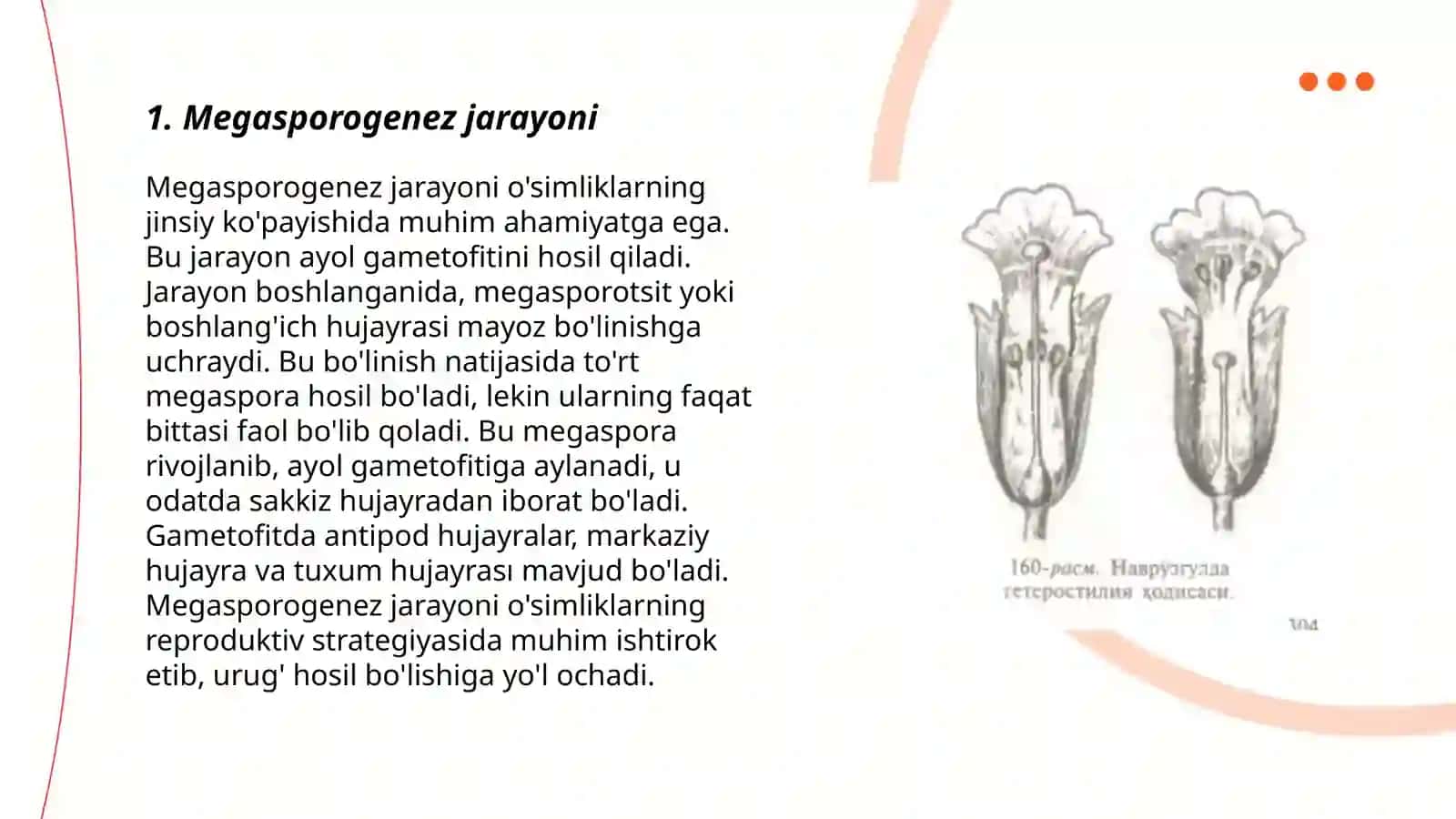 Megasporogenez va urug’chi gametofitning rivojlanishi 3