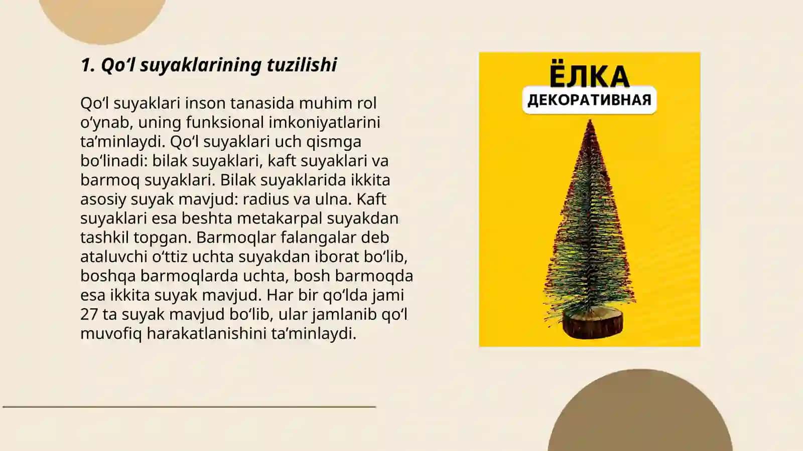 Qo‘l va elka kamarini suyaklarini tuzilishi 3