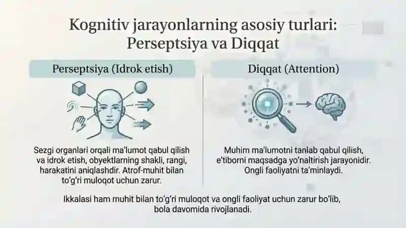 Kognitiv jarayonlarning shakllanishi. Insonda aks etirish darajalari 3