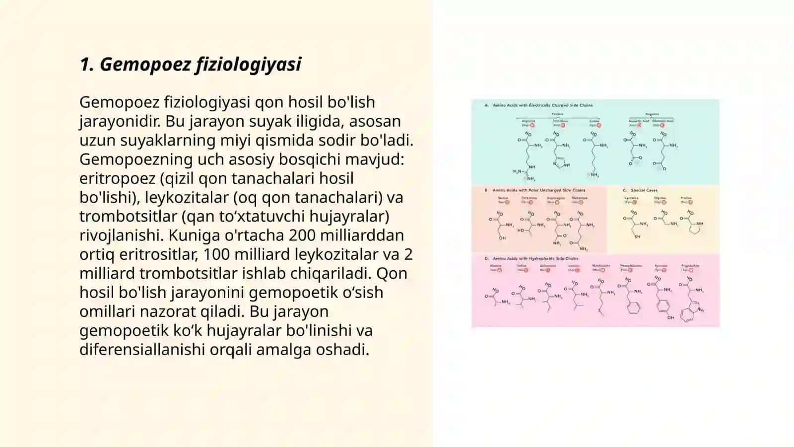 Gemopoez fiziologiyasi 3