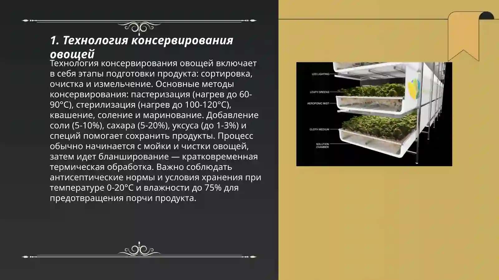 Технологийя переработки овощей 3