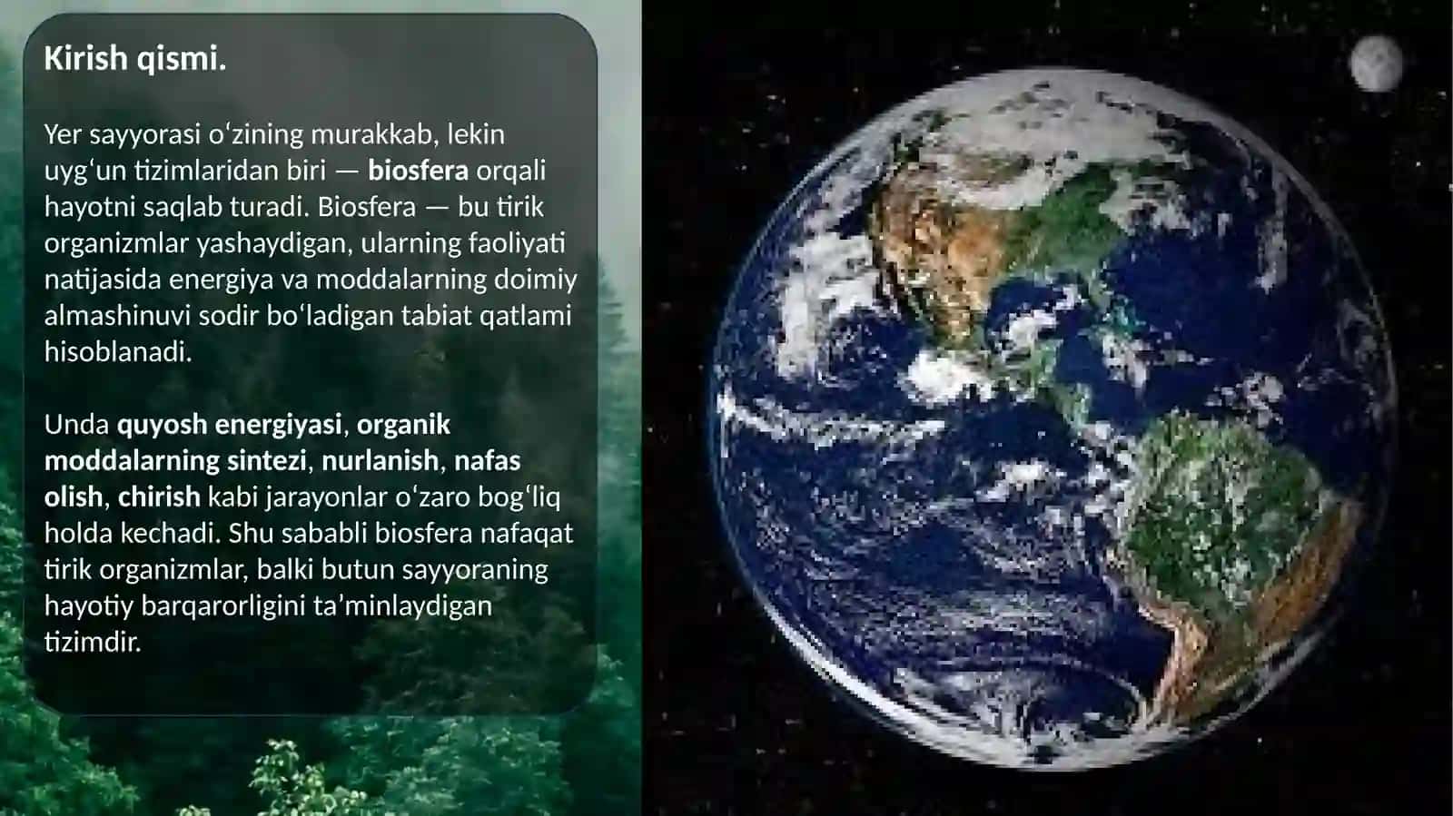 Energetika muhandisligi 44-23EO’lmasov Muzaffarxonning Ekalogiyafanidan taqdimot loyihasi 3