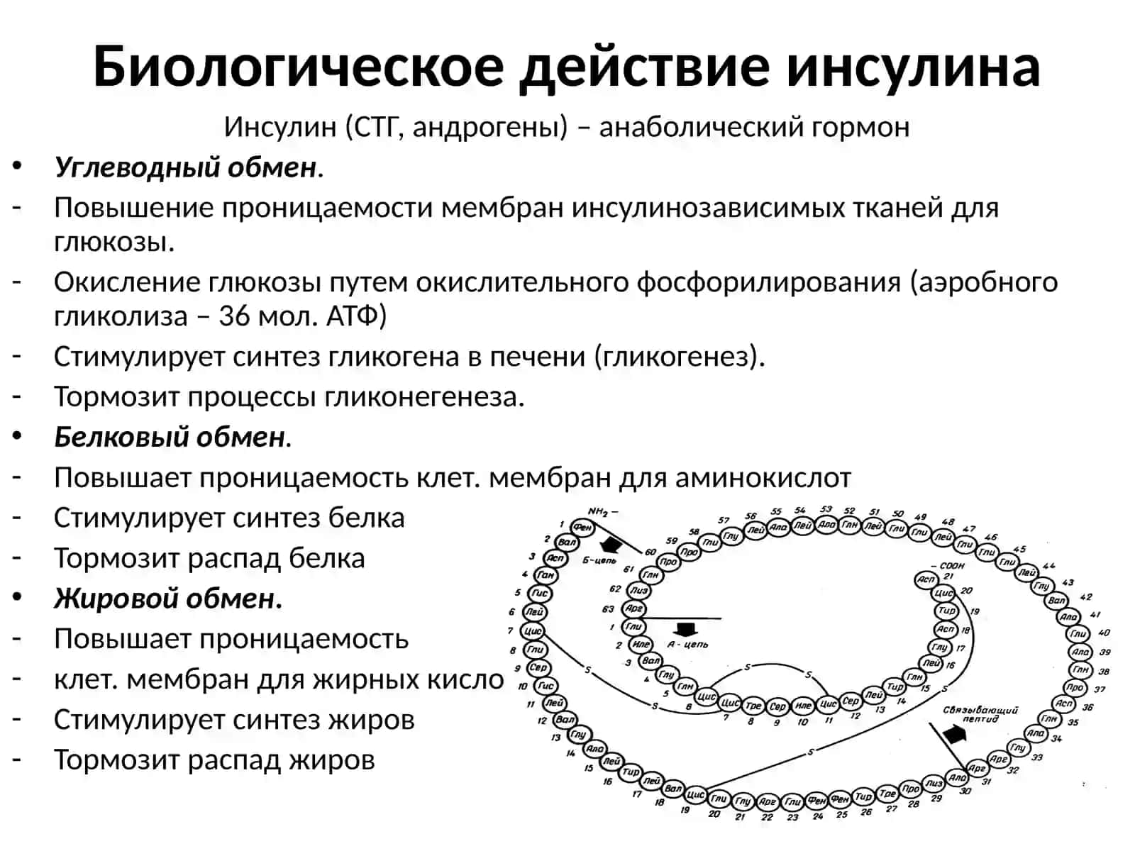 Сахарный диабет(Diabetes mellitus) 3