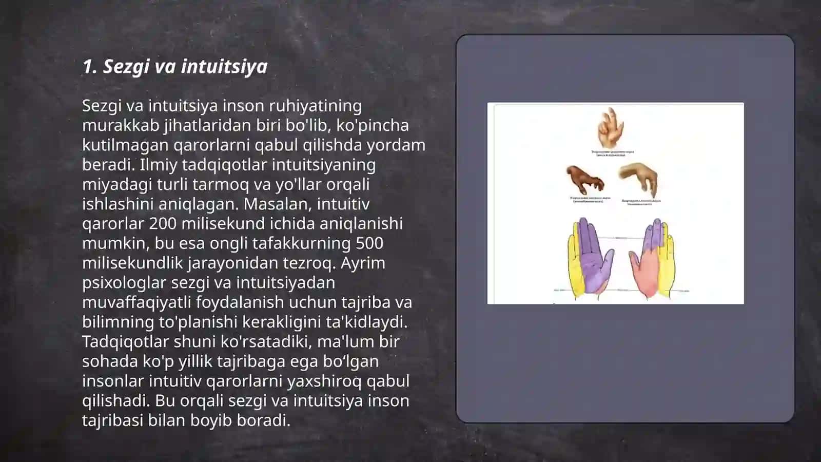 Sezgi 3