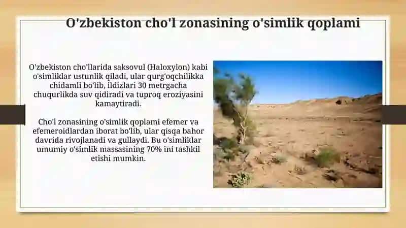 O'zbekistonning cho'l zonasi o‘simliklari va ularni muhofaza qilish 3