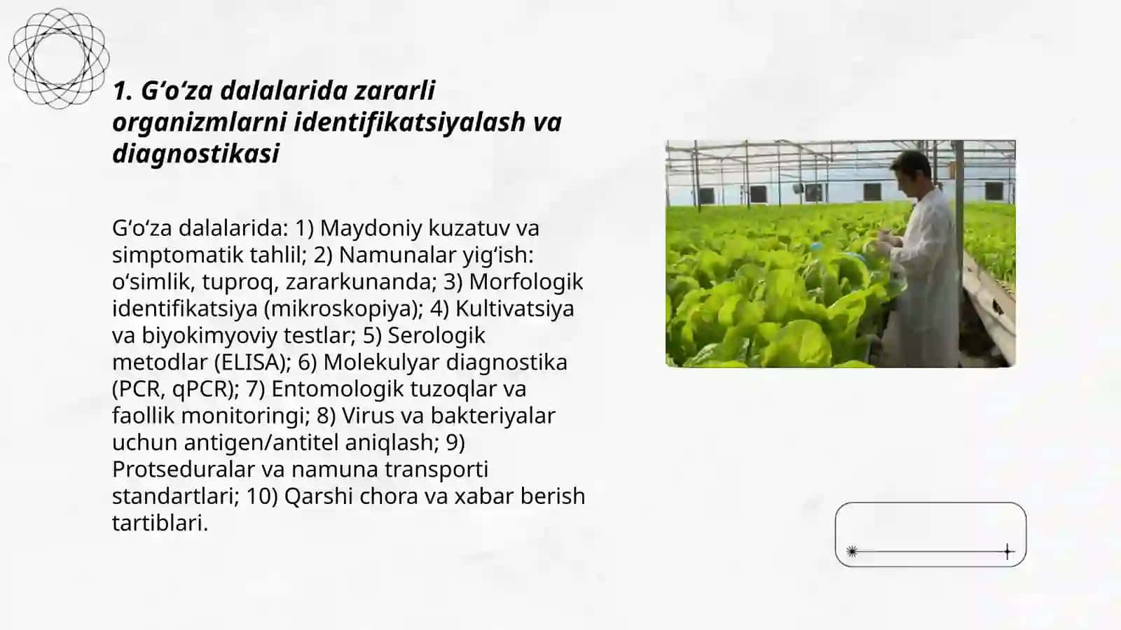Gʻoʻza dalalarida zararli organizmlarni fitosanitar nazorat qilish 3