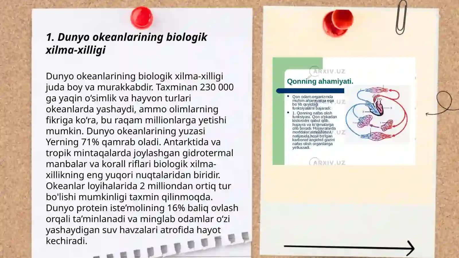 Dunyo okeani va dengizlarning organizimlari va biologik tuzilish qonunlari bilan tanishish 3
