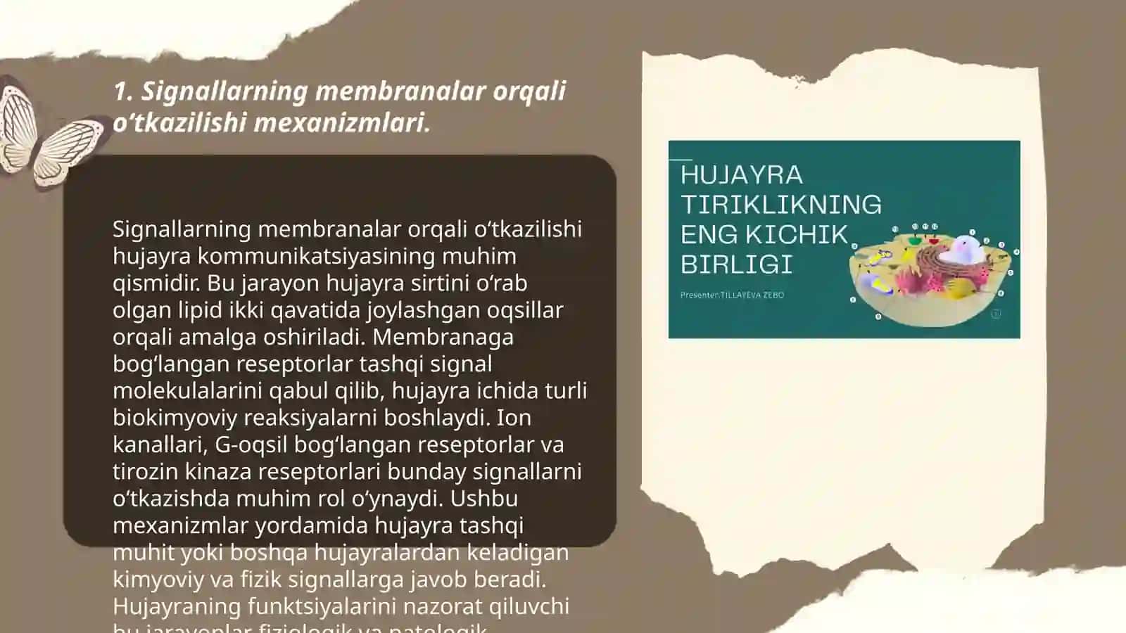 Membranalar buzilishi va patalogik jarayon 3
