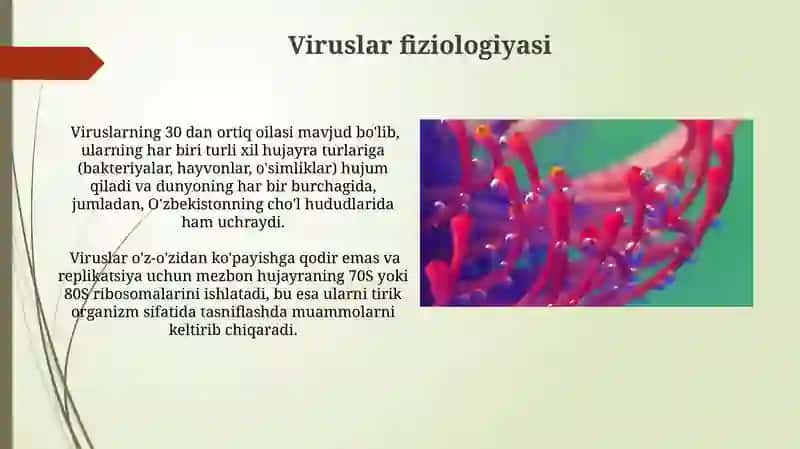 Mikroorganizm fizilogiyasi 3