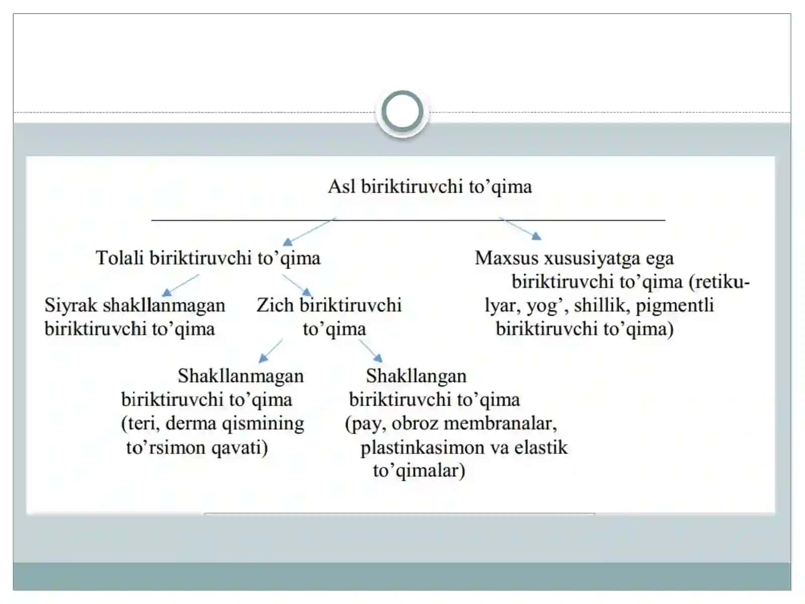 Biriktiruvchi to’qimaning oraliq moddasi. Amorf modda vat olalar 3