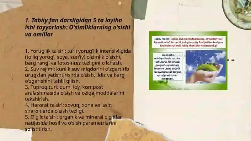 Tabiiy fan darsligidan 5 ta loyiha ishi tayyorlash 3