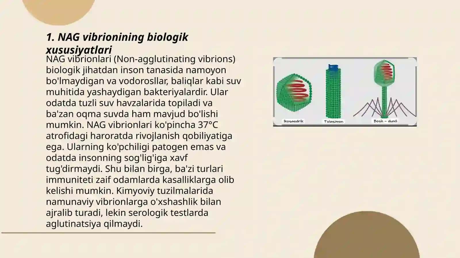 NAG vibrioni va ularni bakteriologik tashxisi 3