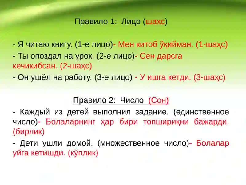 Согласование подлежащего и сказуемого 3