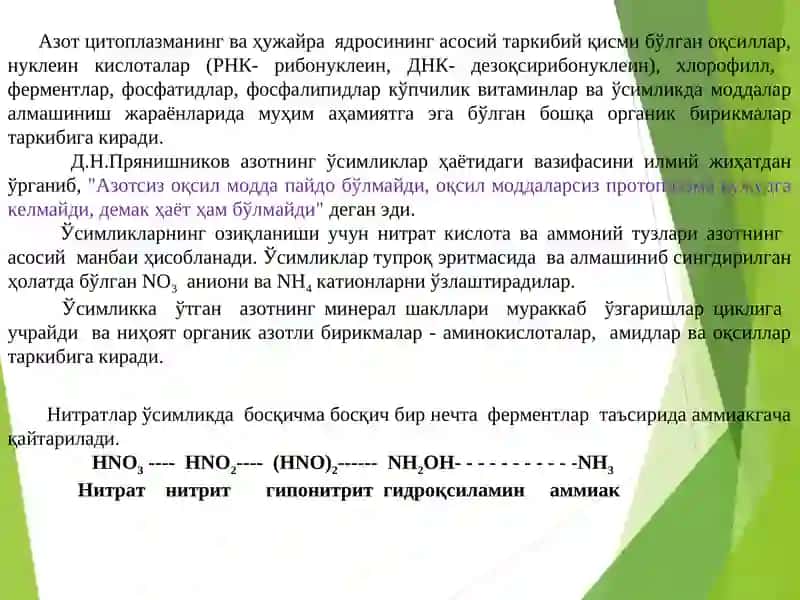 Азотнинг ўсимликлар ҳаётидаги аҳамияти ва азот баланси 3
