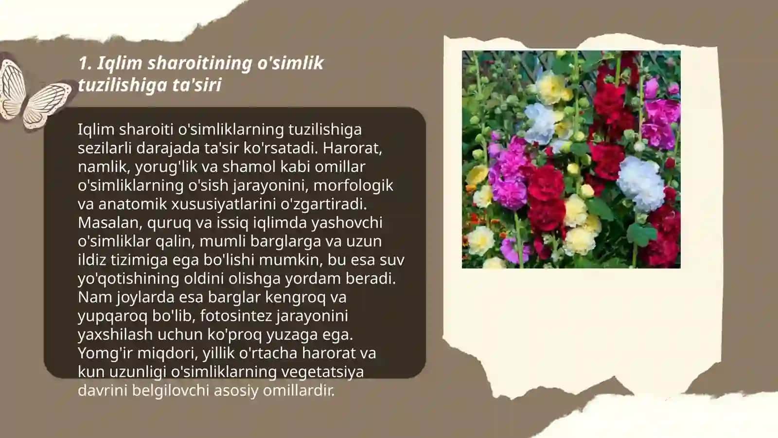 Turli muhit sharoitida òsgan òsimliklarning tuzilishi taqqoslash 3